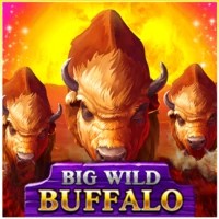 Logo of Big Wild Buffalo from Belatra Games at Davinci Gold Casino